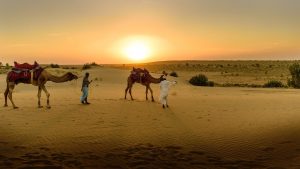 desert, sand, camel-1086415.jpg